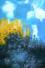 Jackson Hensley Gallery: Image